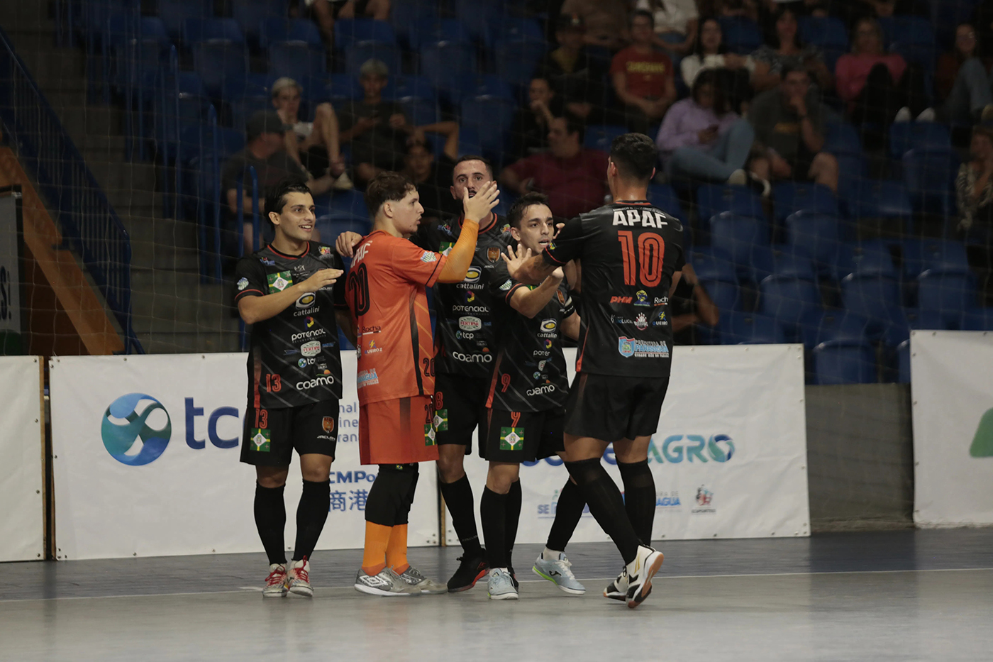 APAF Adultos 2